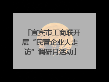 宜宾市工商联开展“民营企业大走访”调研月活动