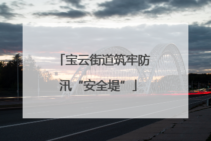 宝云街道筑牢防汛“安全堤”