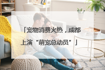 宠物消费火热，成都上演“萌宠总动员”