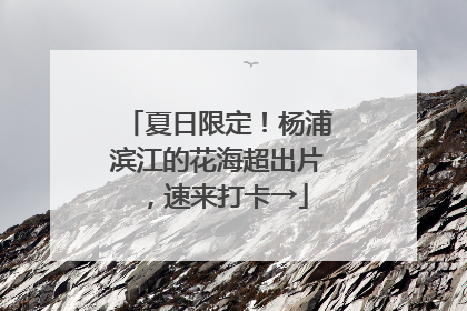 夏日限定！杨浦滨江的花海超出片，速来打卡→