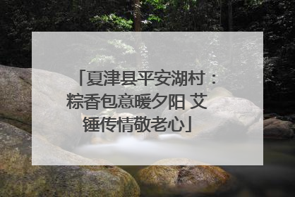 夏津县平安湖村：粽香包意暖夕阳 艾锤传情敬老心