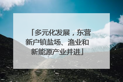多元化发展，东营新户镇盐场、渔业和新能源产业并进