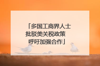 多国工商界人士批驳美关税政策 呼吁加强合作