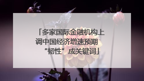 多家国际金融机构上调中国经济增速预期 “韧性”成关键词