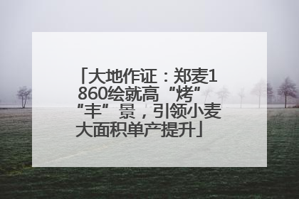 大地作证：郑麦1860绘就高“烤”“丰”景，引领小麦大面积单产提升