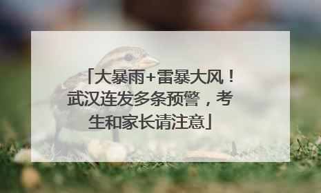 大暴雨+雷暴大风！武汉连发多条预警，考生和家长请注意