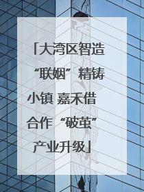 大湾区智造“联姻”精铸小镇 嘉禾借合作“破茧”产业升级