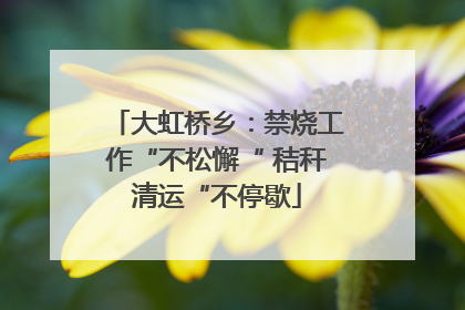 大虹桥乡：禁烧工作“不松懈“ 秸秆清运“不停歇
