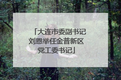 大连市委副书记刘恩举任金普新区党工委书记