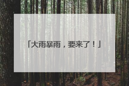 大雨暴雨，要来了！