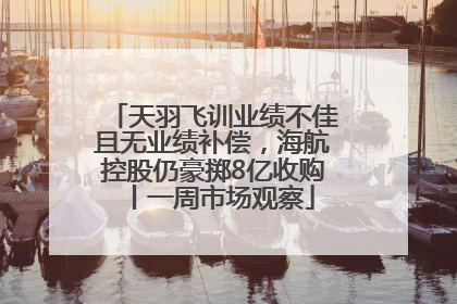 天羽飞训业绩不佳且无业绩补偿，海航控股仍豪掷8亿收购丨一周市场观察