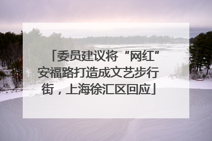 委员建议将“网红”安福路打造成文艺步行街，上海徐汇区回应