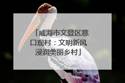 威海市文登区慈口观村：文明新风浸润美丽乡村