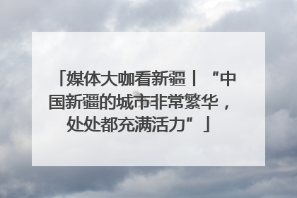 媒体大咖看新疆丨“中国新疆的城市非常繁华，处处都充满活力”