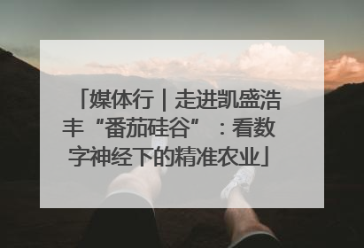 媒体行｜走进凯盛浩丰“番茄硅谷”：看数字神经下的精准农业