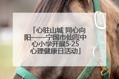心驻山城 同心向阳——宁国市仙霞中心小学开展5·25心理健康日活动