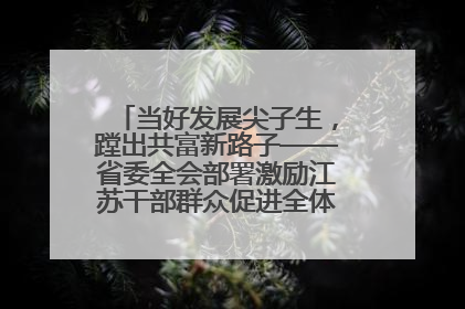 当好发展尖子生，蹚出共富新路子——省委全会部署激励江苏干部群众促进全体人民共同富裕