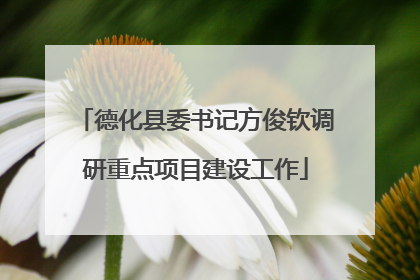 德化县委书记方俊钦调研重点项目建设工作
