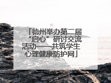德州举办第二届“启心”研讨交流活动——共筑学生心理健康防护网