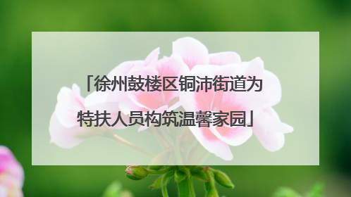 徐州鼓楼区铜沛街道为特扶人员构筑温馨家园