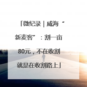 微纪录｜威海“新麦客”：割一亩80元，不在收割就是在收割路上