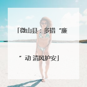 微山县：多措“廉”动 清风护安