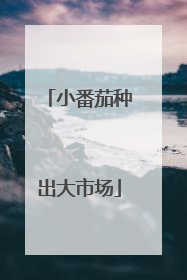 小番茄种出大市场