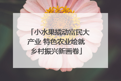 小水果撬动富民大产业 特色农业绘就乡村振兴新画卷