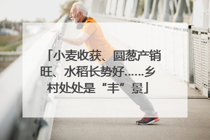 小麦收获、圆葱产销旺、水稻长势好……乡村处处是“丰”景