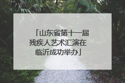 山东省第十一届残疾人艺术汇演在临沂成功举办