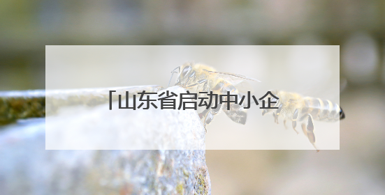 山东省启动中小企业出海专项行动 以优质中小企业“走出去”新成效展示山东产业发展新形象