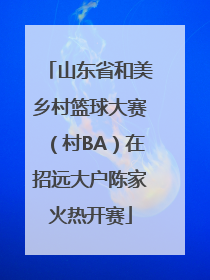 山东省和美乡村篮球大赛（村BA）在招远大户陈家火热开赛