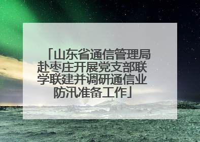 山东省通信管理局赴枣庄开展党支部联学联建并调研通信业防汛准备工作