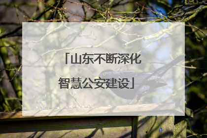 山东不断深化智慧公安建设