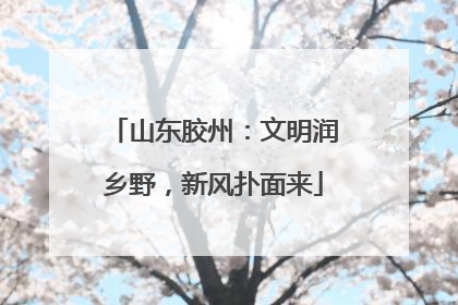 山东胶州：文明润乡野，新风扑面来