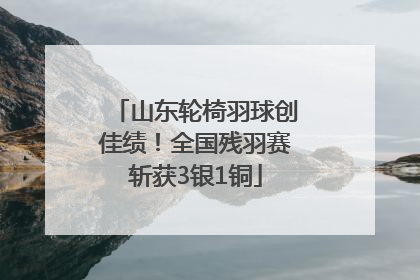山东轮椅羽球创佳绩！全国残羽赛斩获3银1铜