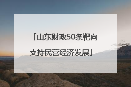 山东财政50条靶向支持民营经济发展