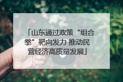 山东通过政策“组合拳”靶向发力 推动民营经济高质量发展