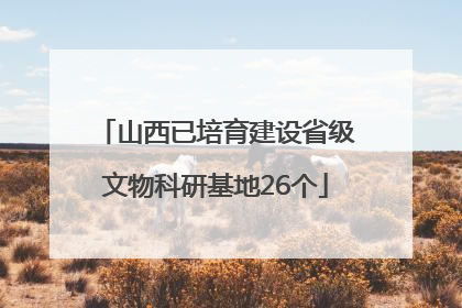 山西已培育建设省级文物科研基地26个