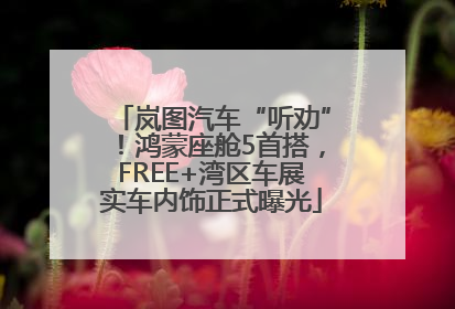 岚图汽车“听劝”！鸿蒙座舱5首搭，FREE+湾区车展实车内饰正式曝光