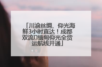 川渝丝绸、仰光海鲜3小时直达！成都双流⇌缅甸仰光全货运航线开通