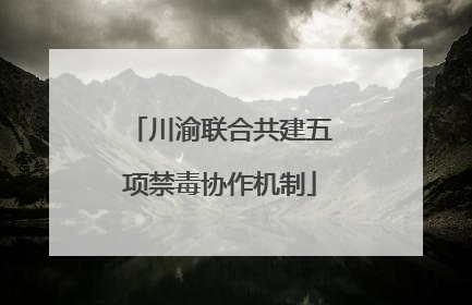 川渝联合共建五项禁毒协作机制