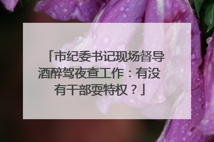 市纪委书记现场督导酒醉驾夜查工作：有没有干部耍特权？