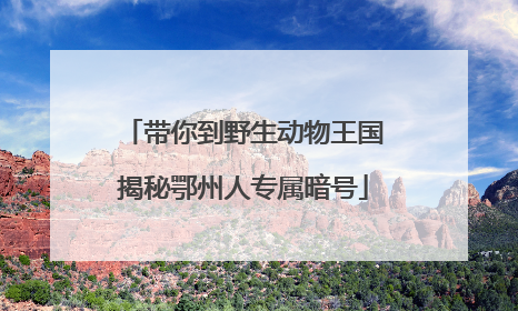 带你到野生动物王国揭秘鄂州人专属暗号