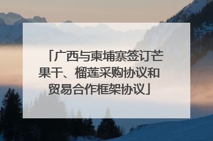 广西与柬埔寨签订芒果干、榴莲采购协议和贸易合作框架协议