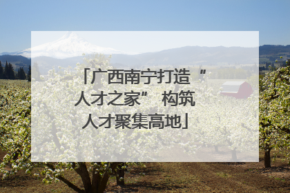 广西南宁打造“人才之家” 构筑人才聚集高地