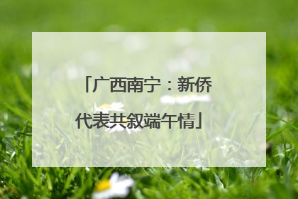 广西南宁：新侨代表共叙端午情