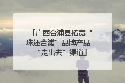 广西合浦县拓宽“珠还合浦”品牌产品“走出去”渠道