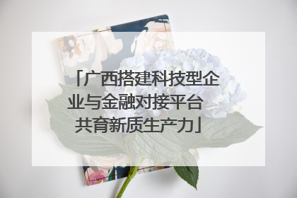 广西搭建科技型企业与金融对接平台 共育新质生产力