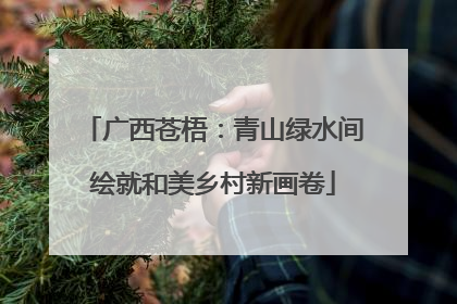 广西苍梧：青山绿水间绘就和美乡村新画卷